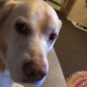 Meet your Posher, Tammy